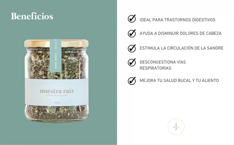 Nuestra Raíz - Infusión Herbal Menta Fresca