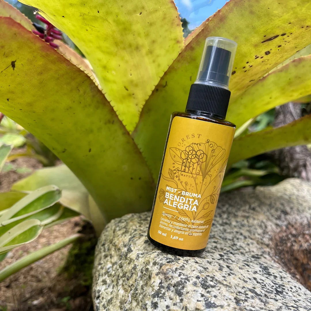 Forest Soul - Bruma Bendita alegría.