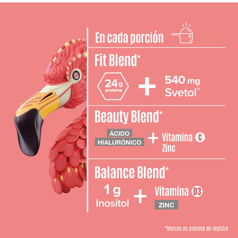Birdman -Proteína Fitmingo