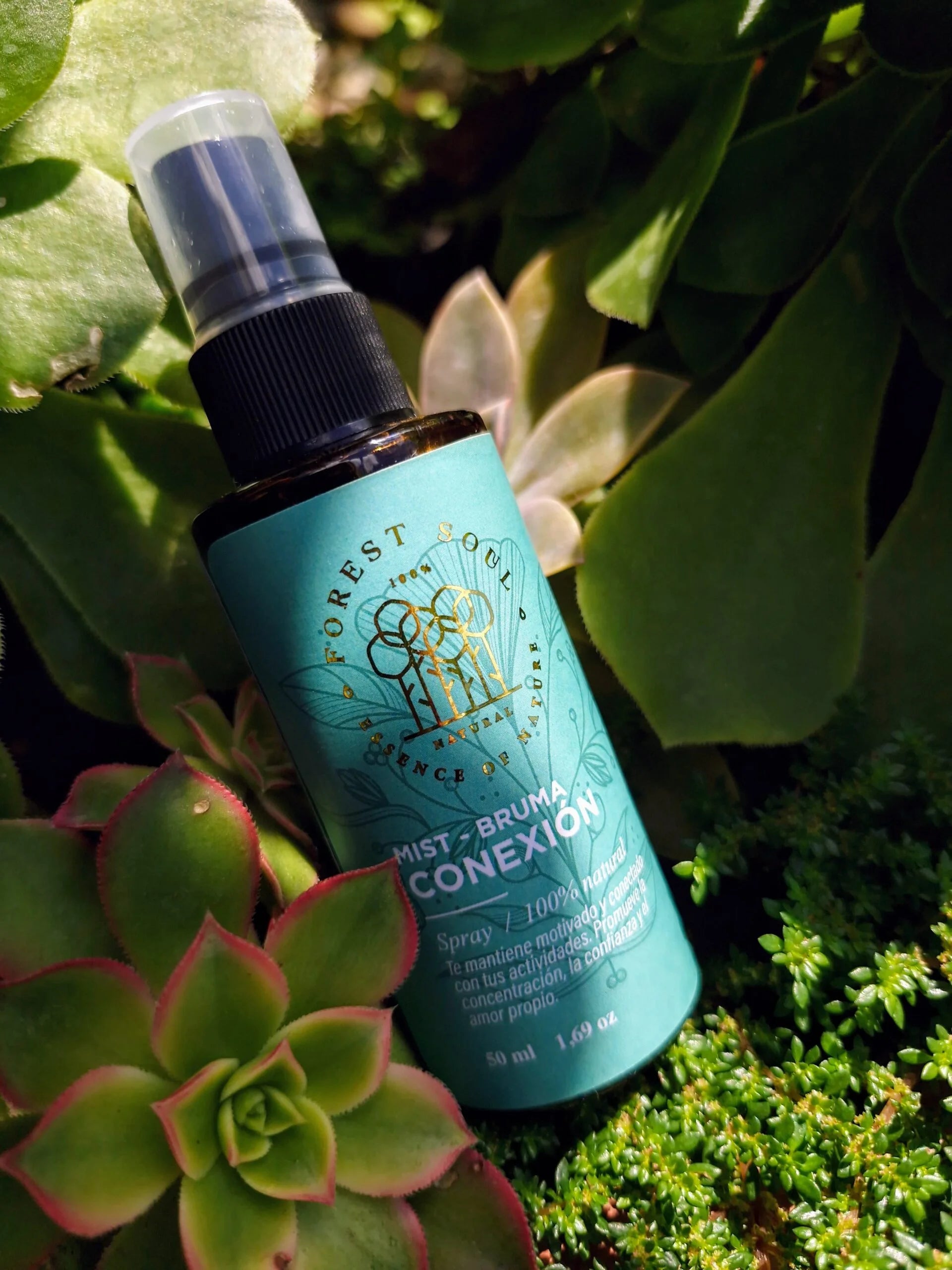 Forest Soul - Bruma Conexión.