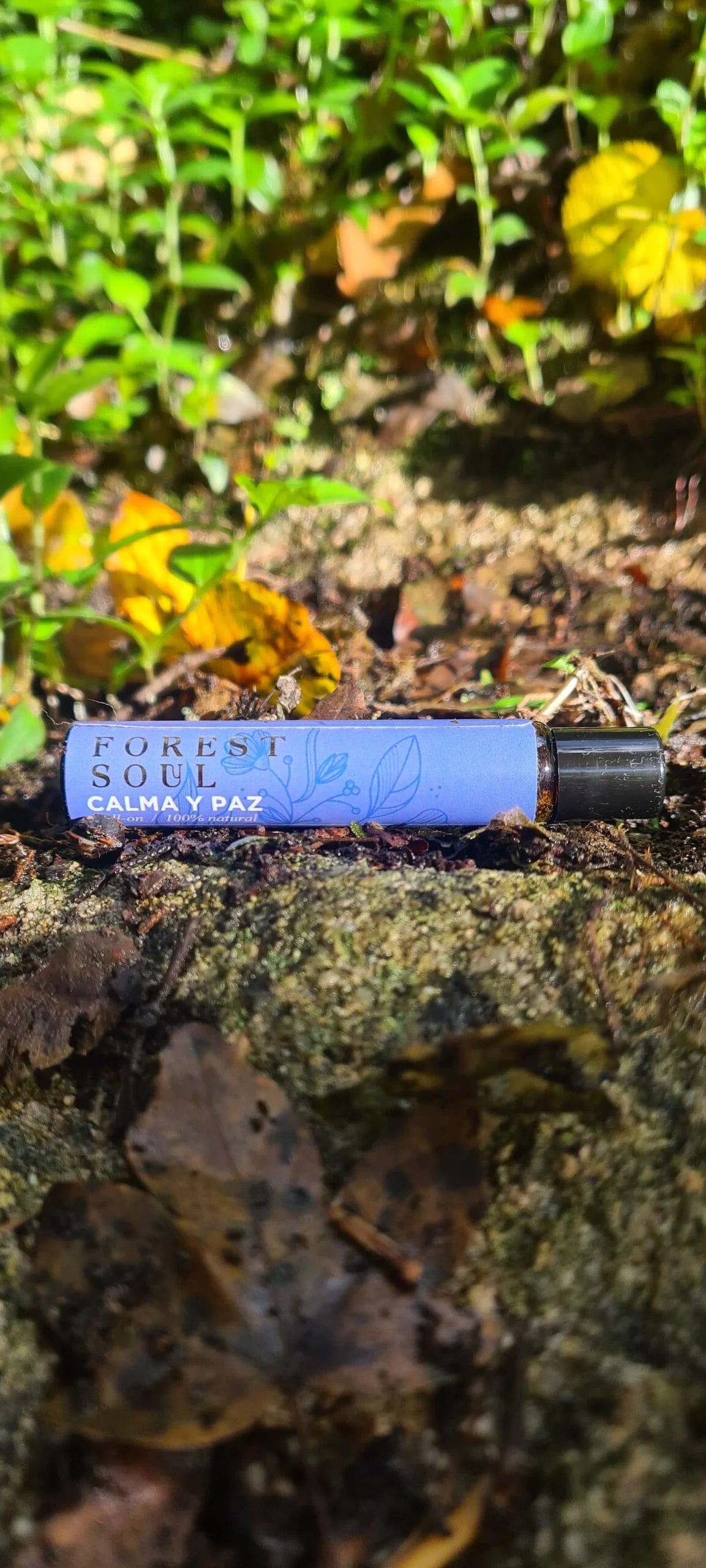 Forest Soul - Roll on Calma y paz